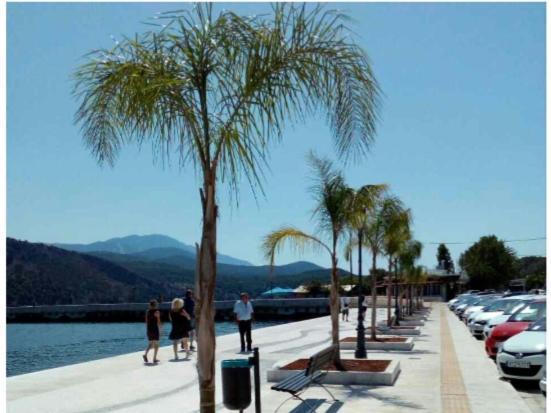 Elektra'S Apartment Central With Parking Argostoli (Kefalonia) Exterior foto